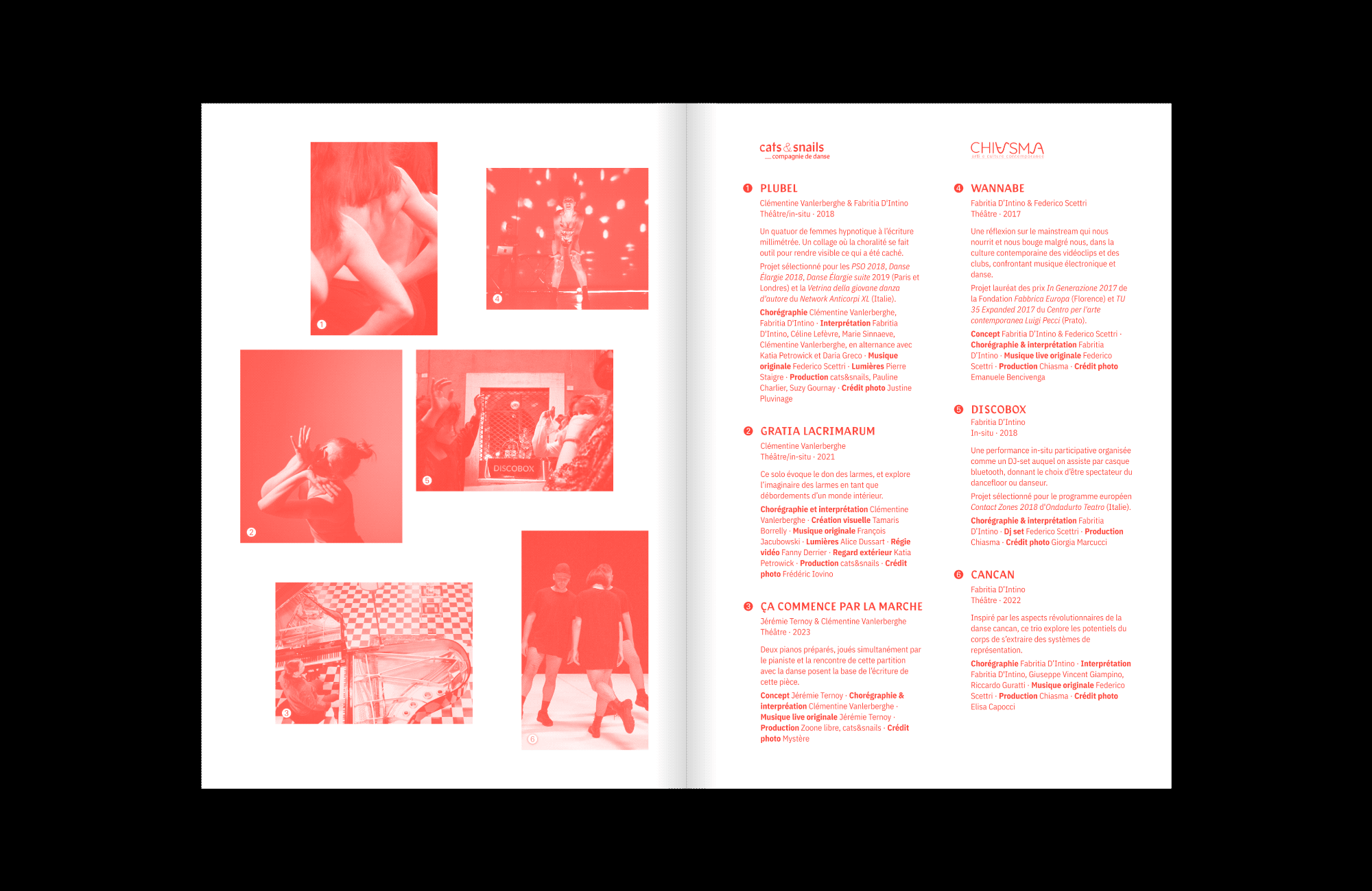 image 8 du projet cats&snails